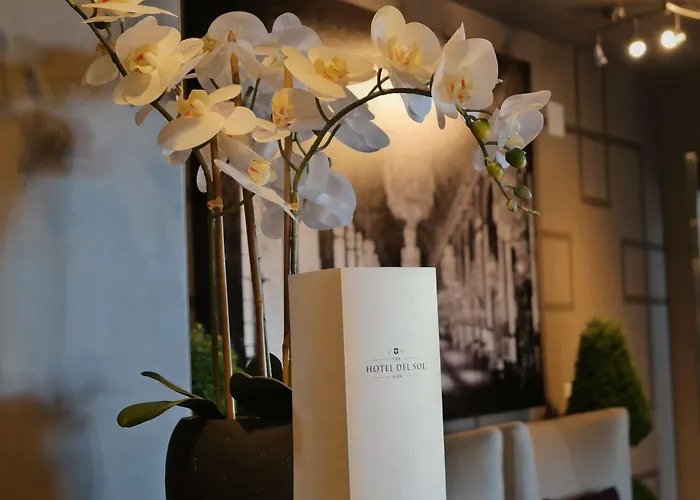 Hotel Del Sol, Boutique Phoenix Airport 2*